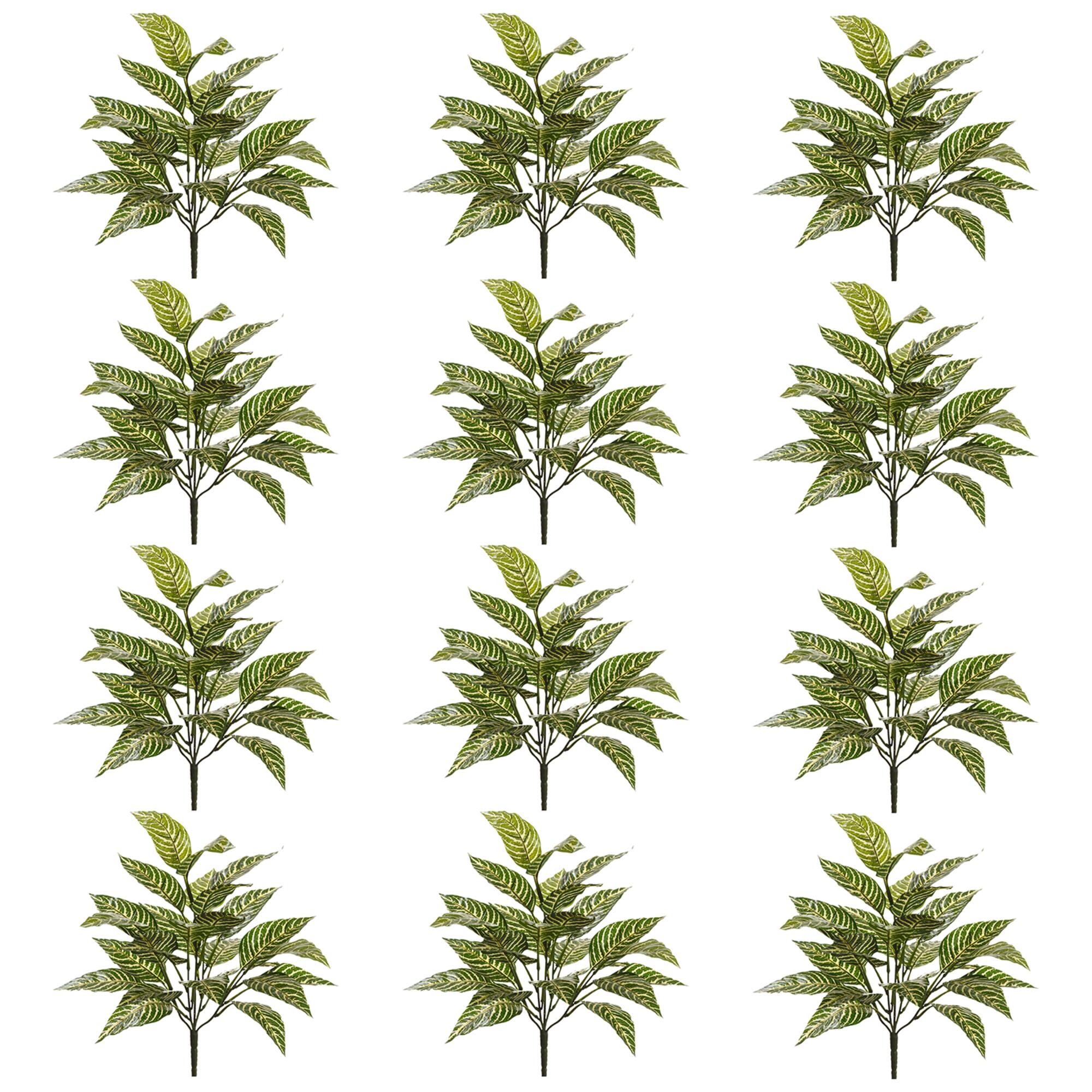 12 Pack: Green Zebra Bush by Ashland®